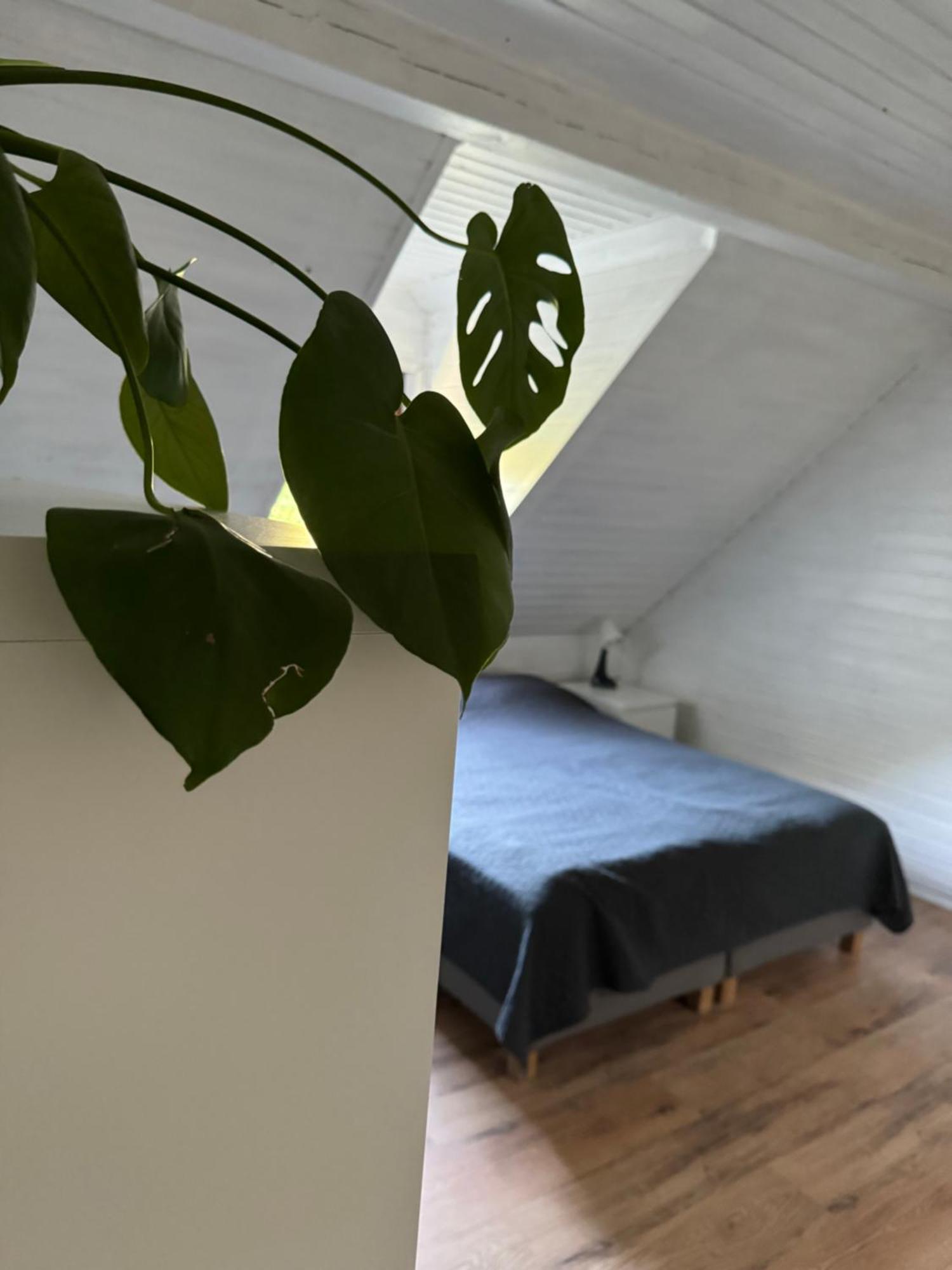 48C Domki Letniskowe I Apartament 포비에로보 외부 사진